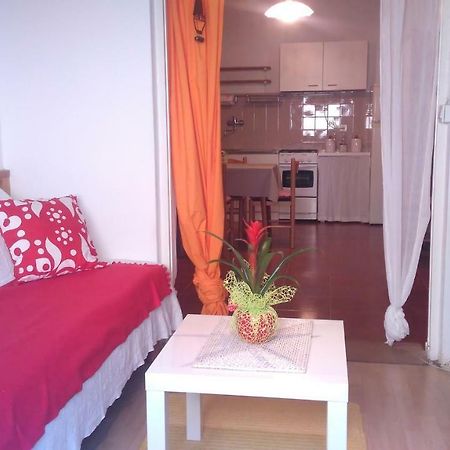 Apartment Bela Novigrad  Екстер'єр фото